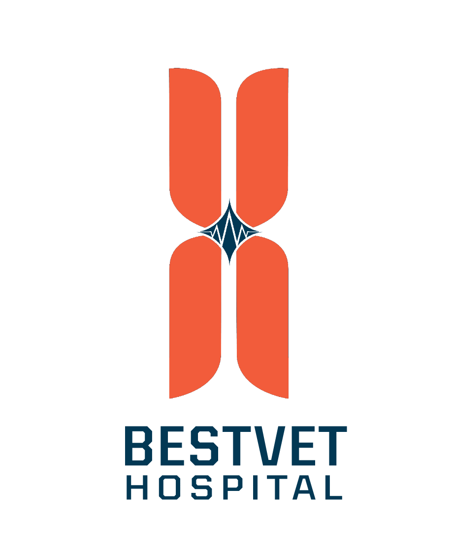 Bestvet Hospital