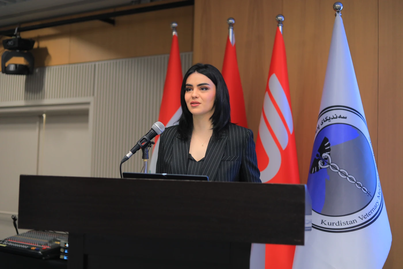 The speakers at Besvet's first conference were accomplished experts